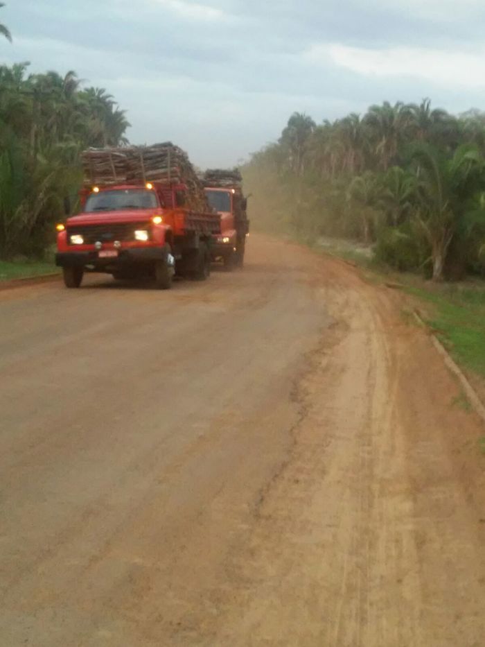 PREFEITO ZÉ RESENDE ANUNCIA RECUPERAÇÃO DA PI 331, QUE LIGA A BR 34 - Imagem 10