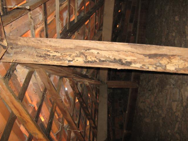 Água invade prédio do Emater e funcionários estão com medo - Imagem 2