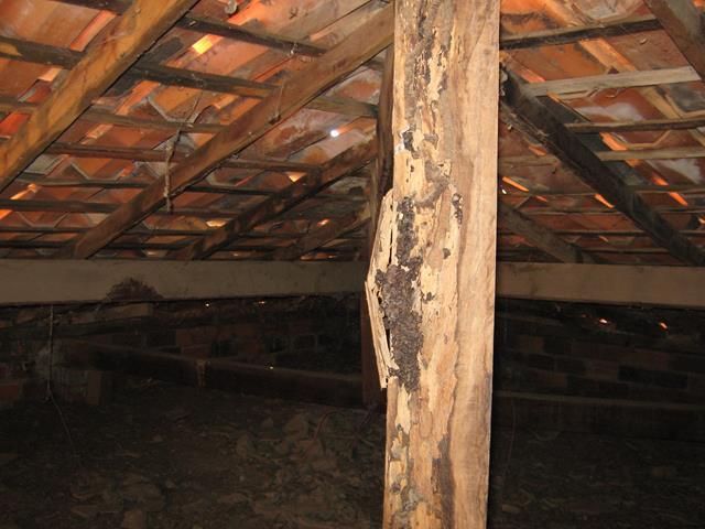 Água invade prédio do Emater e funcionários estão com medo - Imagem 3