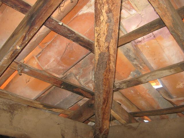 Água invade prédio do Emater e funcionários estão com medo - Imagem 4