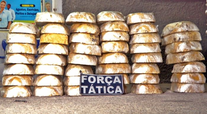 Força Tática de Parnaíba apreende 46 tabletes de crack enterrados - Imagem 2