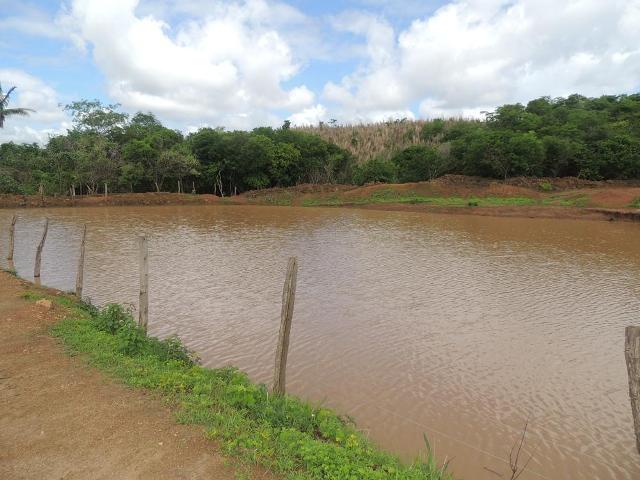 Chuvas abastecem barragens na cidade de Água Branca - Imagem 4