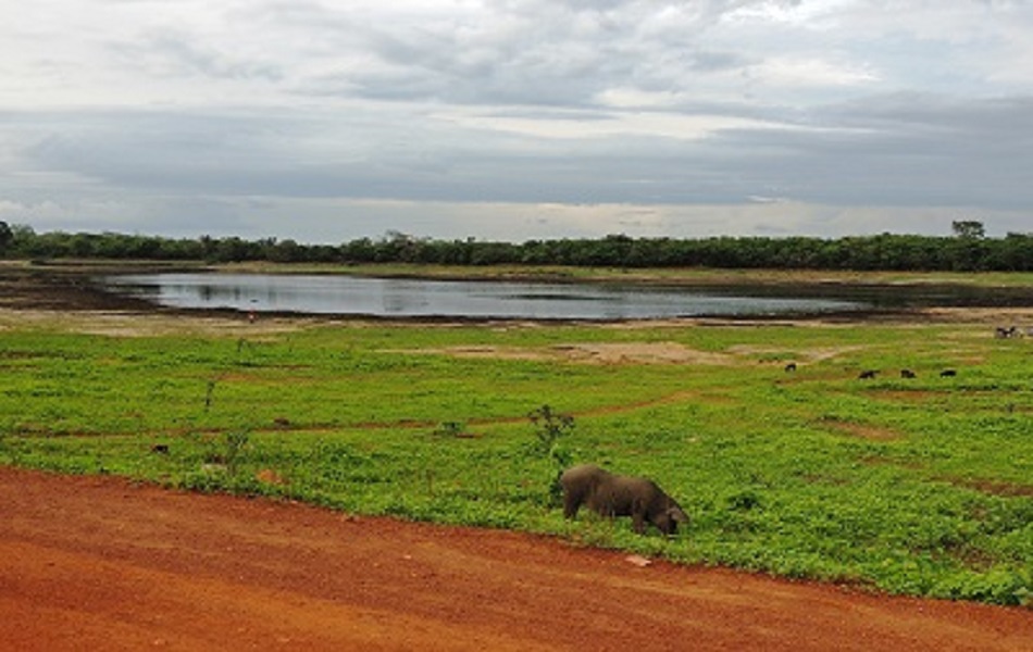 S. T. T. R diz que é boa pespectiva do período de chuvas na região