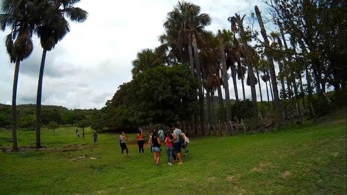 Alunos da UFPI visitam pinturas rupestres em Dom Expedito Lopes - Imagem 67