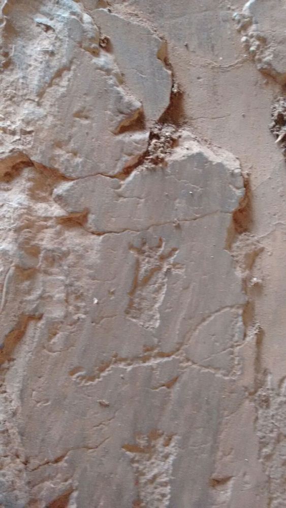 Alunos da UFPI visitam pinturas rupestres em Dom Expedito Lopes - Imagem 84