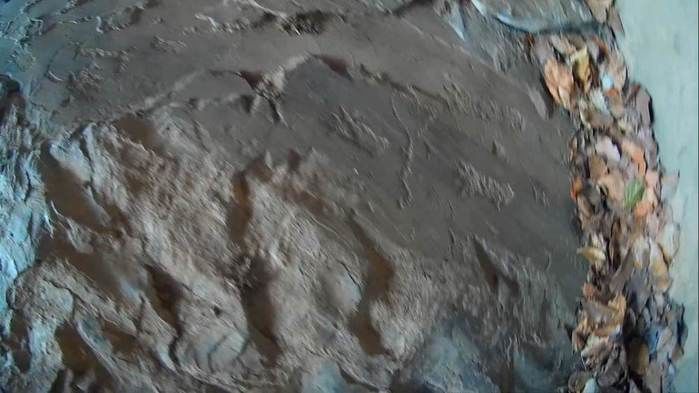 Alunos da UFPI visitam pinturas rupestres em Dom Expedito Lopes - Imagem 63