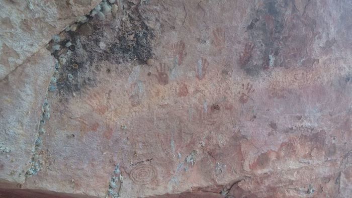 Alunos da UFPI visitam pinturas rupestres em Dom Expedito Lopes - Imagem 96