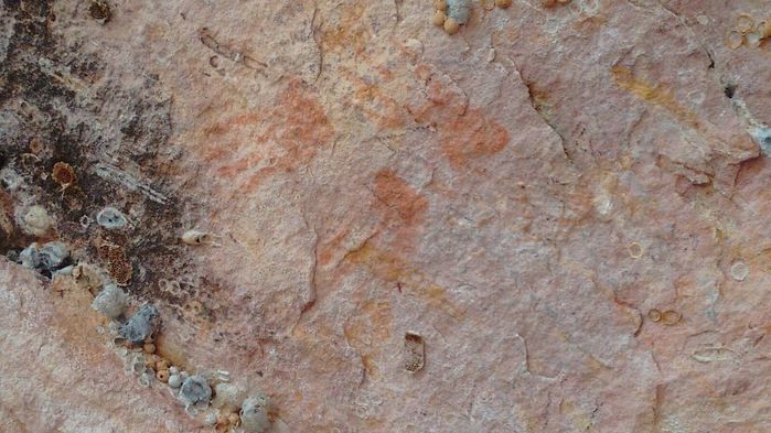 Alunos da UFPI visitam pinturas rupestres em Dom Expedito Lopes - Imagem 90