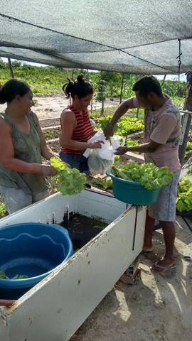 Pimenteiras investe em hortas comunitárias na zona rural - Imagem 4