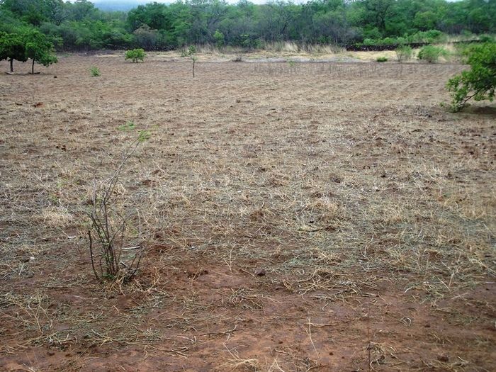 Chuvas começam a cair e animam agricultores de São João da Varjota - Imagem 3