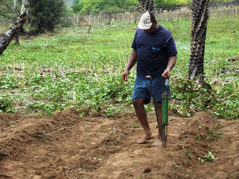 Chuvas começam a cair e animam agricultores de São João da Varjota