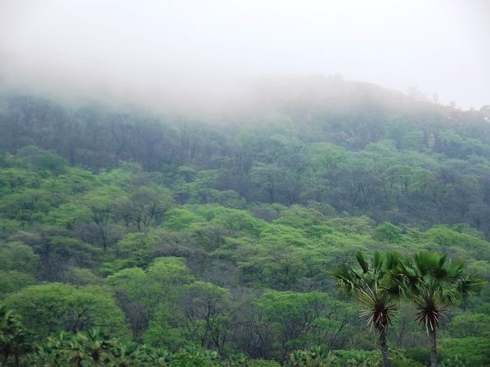 Chuvas começam a cair e animam agricultores de São João da Varjota - Imagem 8