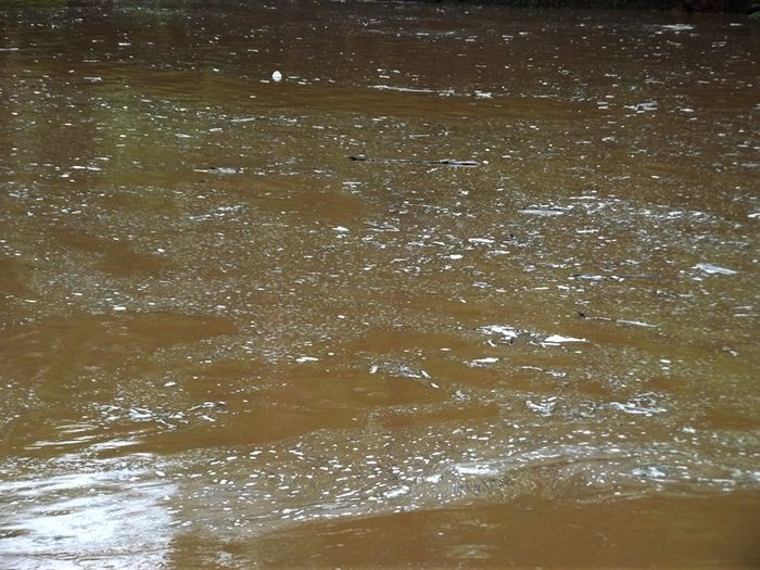 Chuvas fortes em São João da Varjota enchem várias barragens do mun - Imagem 3