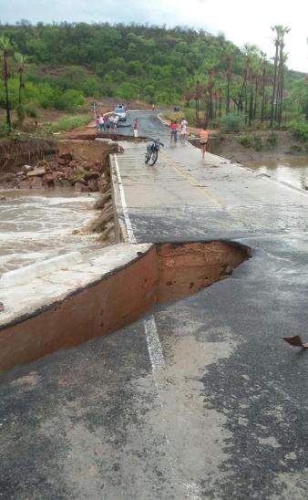 Agricultores estão alegres com a chegada da chuva - Imagem 2