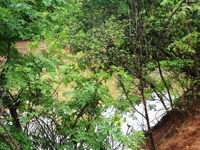 Chuvas fortes em São João da Varjota enchem várias barragens do mun - Imagem 17