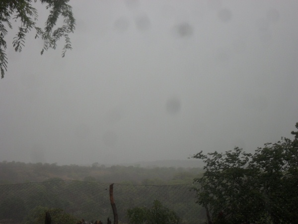 Agricultores estão alegres com a chegada da chuva  - Imagem 7