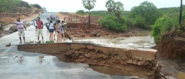 Agricultores estão alegres com a chegada da chuva - Imagem 3