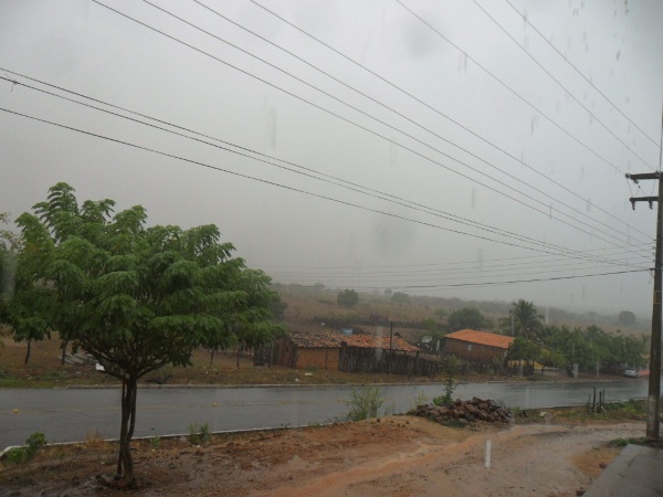Agricultores estão alegres com a chegada da chuva  - Imagem 6