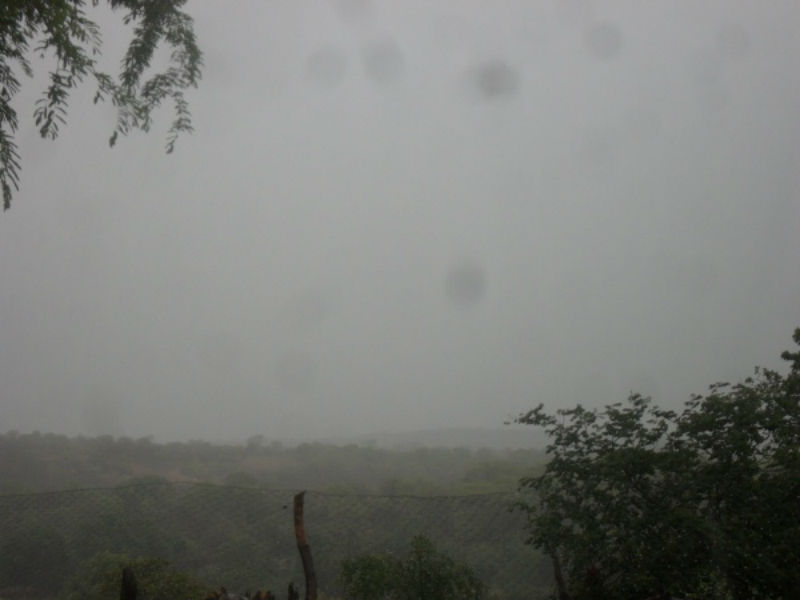 Agricultores estão alegres com a chegada da chuva 