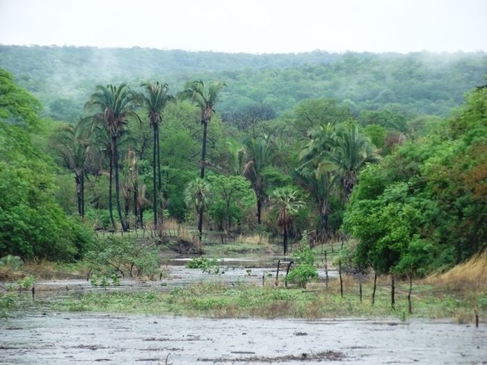 Chuvas fortes em São João da Varjota enchem várias barragens do mun - Imagem 22