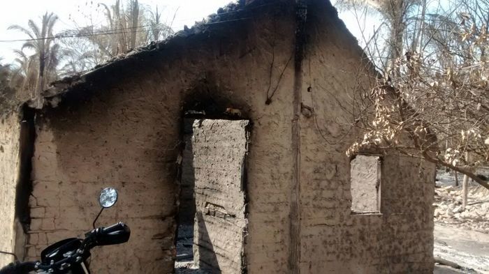 Sãofelicense participa da ação solidária às vítimas dos incêndios  - Imagem 13