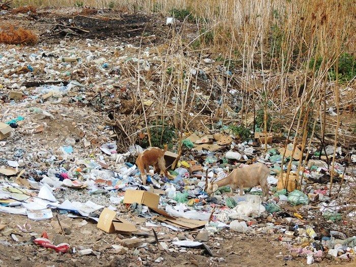 Lixão de Pedro II preocupa a nova administração  - Imagem 10