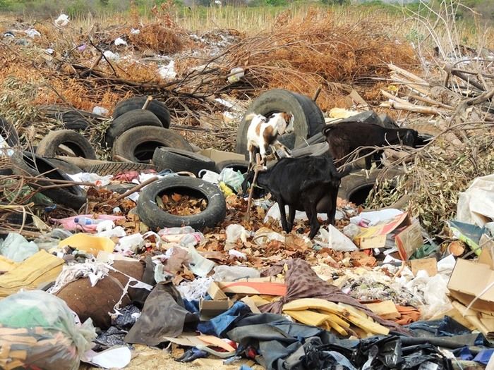 Lixão de Pedro II preocupa a nova administração  - Imagem 5