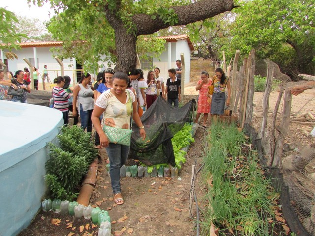 Escola Liberato Vieira Recebe Visitas de Professores - Imagem 29