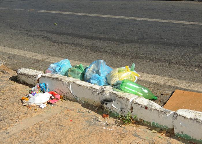 Lixo sufoca parte das ruas e avenida de Pedro II  - Imagem 13
