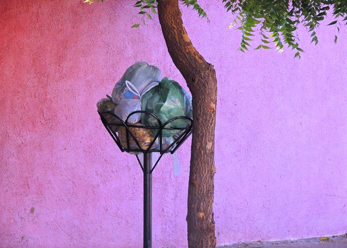 Lixo sufoca parte das ruas e avenida de Pedro II  - Imagem 9