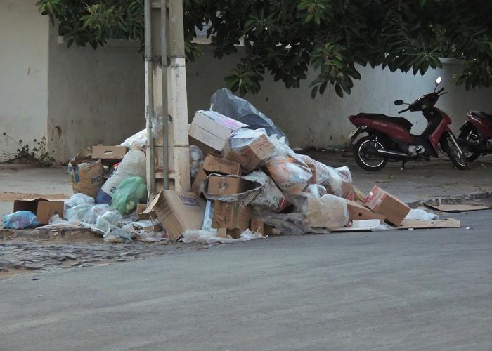 Lixo volta acumular e gera fedor e risco de doenças - Imagem 9