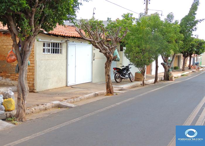 Lixo acumulado próximo ao centro provoca fedor e atrai insetos - Imagem 33