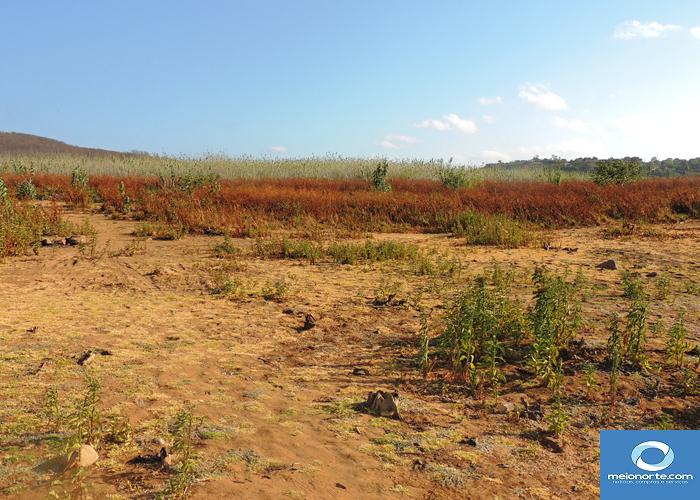Açude Joana quase seco, população poderá recorrer ao Caldeirão      - Imagem 17