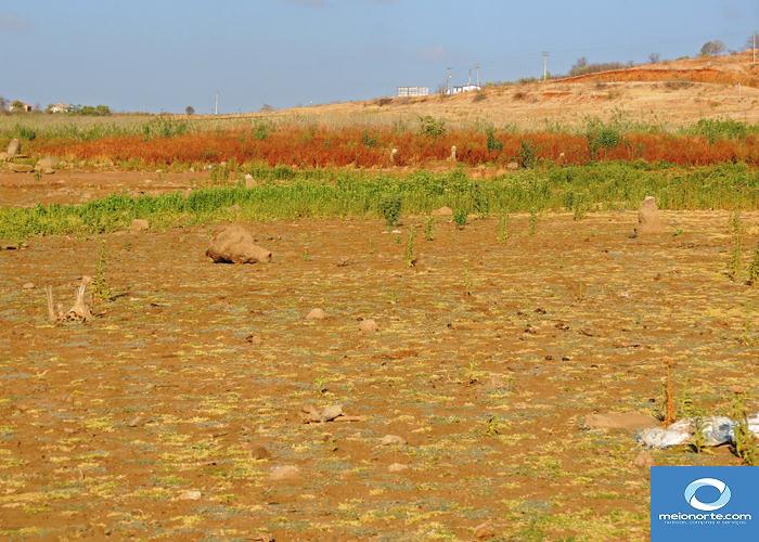 Açude Joana quase seco, população poderá recorrer ao Caldeirão      - Imagem 16
