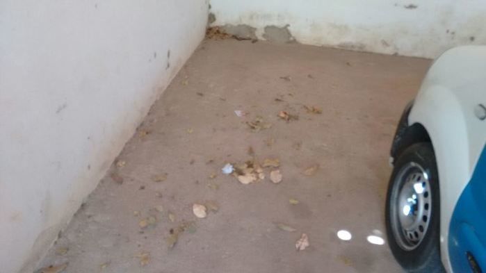 Situação de abandono, SAMU está virando moradia de rato - Imagem 8