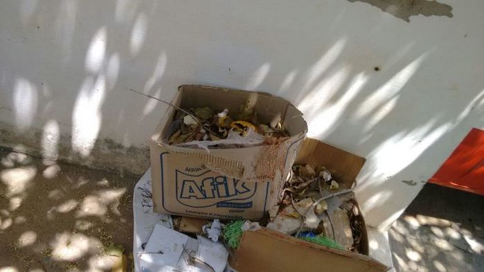 Situação de abandono, SAMU está virando moradia de rato - Imagem 5
