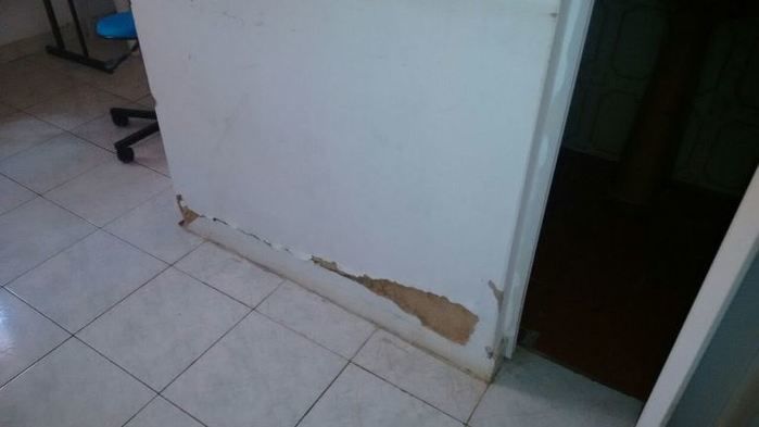 Situação de abandono, SAMU está virando moradia de rato - Imagem 10