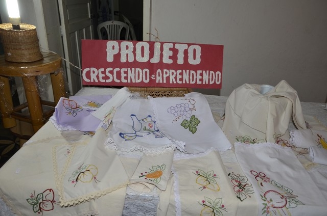 Programa Crescendo e Aprendendo Teve sua Culminância - Imagem 2