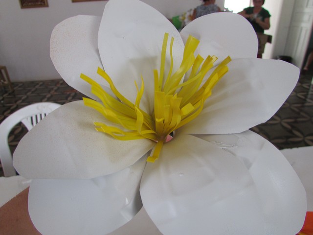 Curso Capacitou Para Trabalhos com Reciclável - Imagem 7