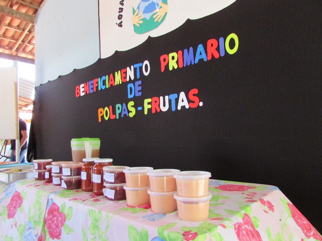 Curso de Beneficiamento de Frutas No Brejo da Fortaleza - Imagem 3