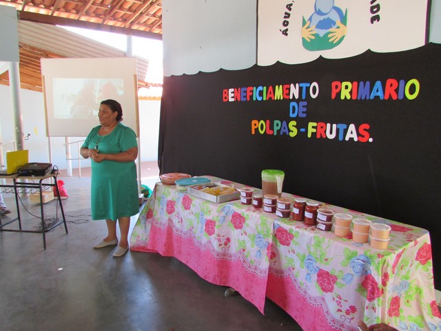 Curso de Beneficiamento de Frutas No Brejo da Fortaleza - Imagem 21
