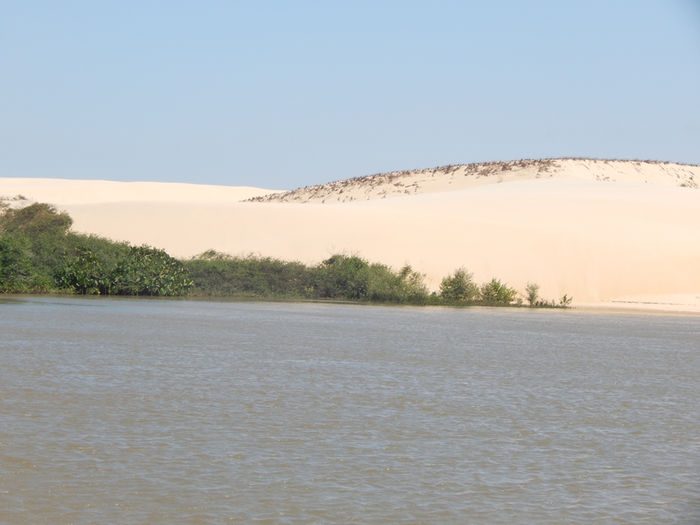 Alunos da rede estadual de Porto visitam Delta do Parnaíba - Imagem 20