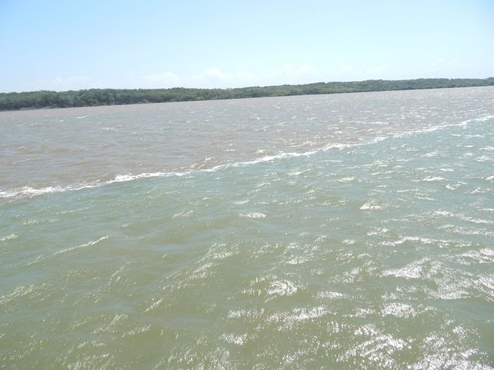 Alunos da rede estadual de Porto visitam Delta do Parnaíba - Imagem 19