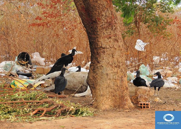 Fumaça tóxica do lixão prejudica saúde da população   - Imagem 13