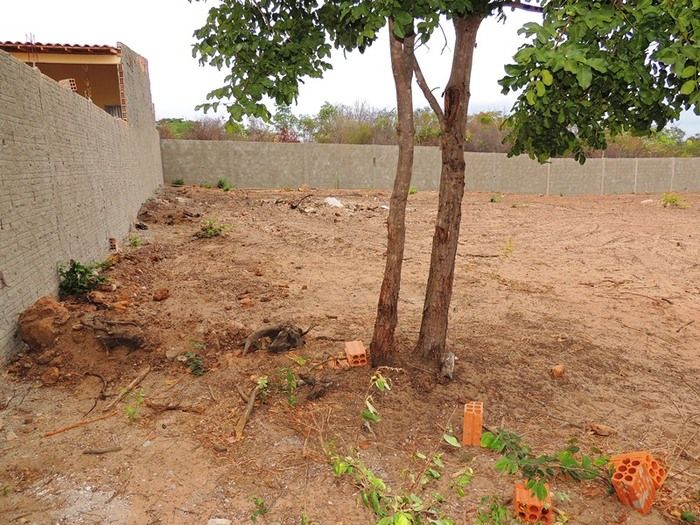 Aluga-se prédio para montagem de empresa e terreno murado - Imagem 38