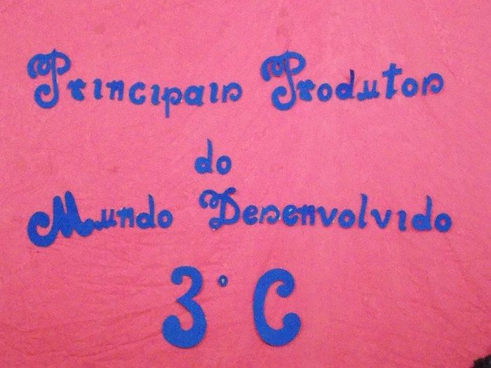 Escola realiza I Feira de Geografia e Biologia - Imagem 2