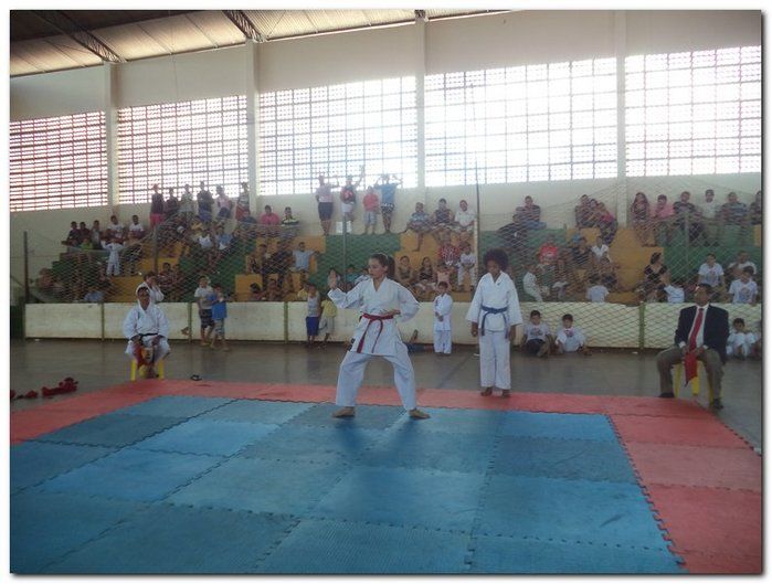 Inhuma sediou o 26º Campeonato Piauiense de Karatê - Imagem 59