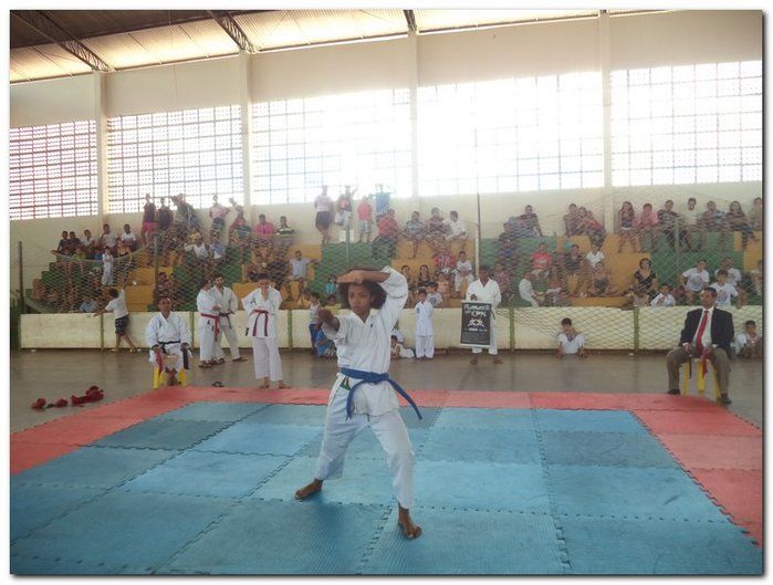 Inhuma sediou o 26º Campeonato Piauiense de Karatê - Imagem 61