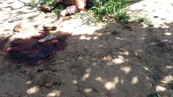 Homem é encontrado morto a golpe de faca e pauladas em quintal  - Imagem 1