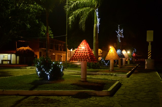 Prefeitura Inaugura Decoração Natalina - Imagem 156